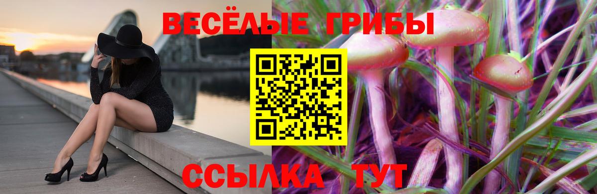 Галлюциногенные грибы Psilocybe  продажа наркотиков  Вход с VPN  Клинцы  Галлюциногенные грибы мухоморы 